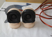 Load image into Gallery viewer, The Chloe: Micro Speaker - Full Range Pair