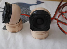Load image into Gallery viewer, The Chloe: Micro Speaker - Full Range Pair