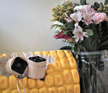 Load image into Gallery viewer, Frivolous Systems: Fast1 Aluminum Ribbon Super Tweeter - Pair