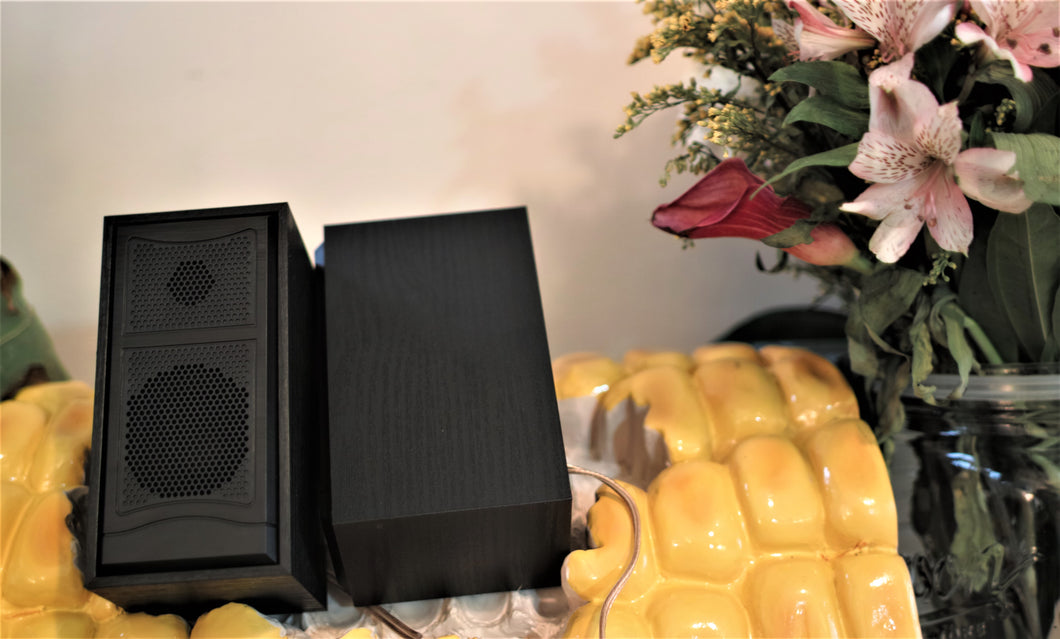 The Khoa: Near Field, Full Range Desktop Speaker- Pair